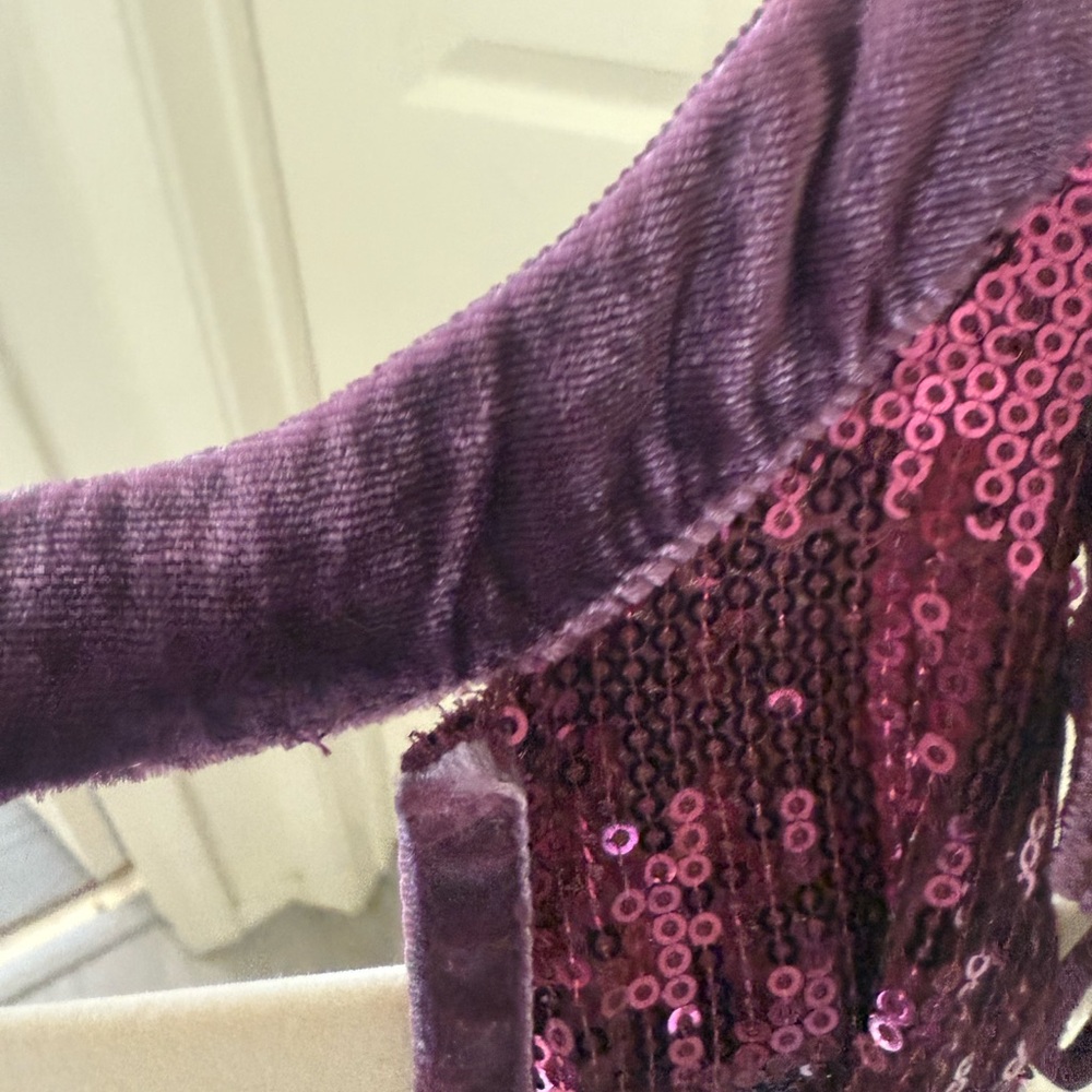 Free People Maroon Purple Sequin Mini Dress - Picture 5 of 5